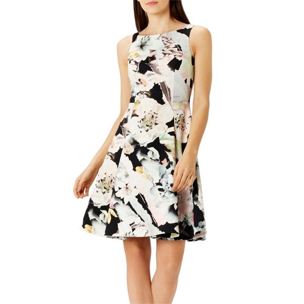 Coast Dresses - Madele floral print dress - Debenhams Exclusive