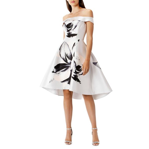 Coast Dresses - Victorie print dress