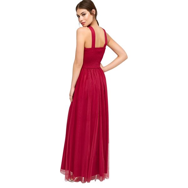 Durable Little Mistress Berry mesh maxi dress 63411_L7999D1A