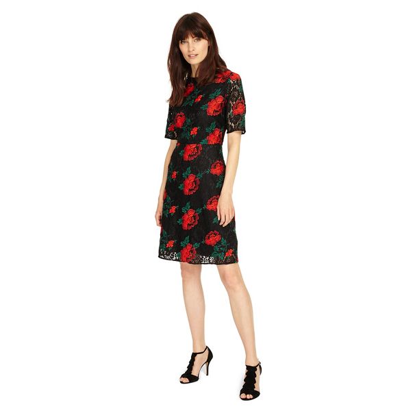 Phase Eight Dresses - Black and Red rose embroidered lace dress