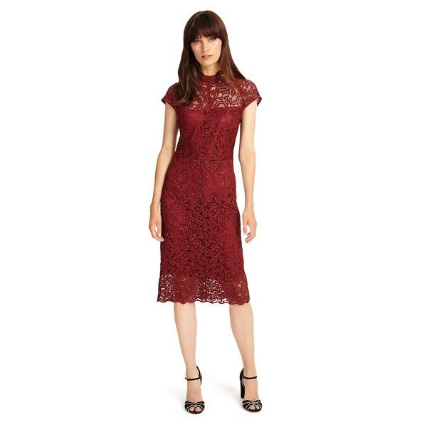 Phase Eight Dresses - Dark red becky lace dress