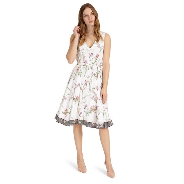 Phase Eight Dresses - Hummingbird print dress