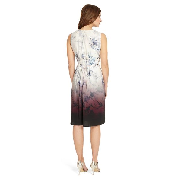 Exquisite Phase Eight Katalina floral dress 54510_204140000