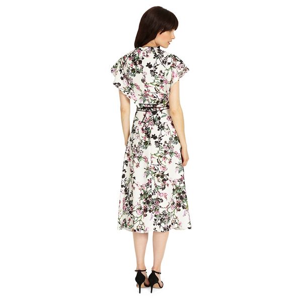 Classic Phase Eight Multi-coloured jody floral dress 54510_204139000