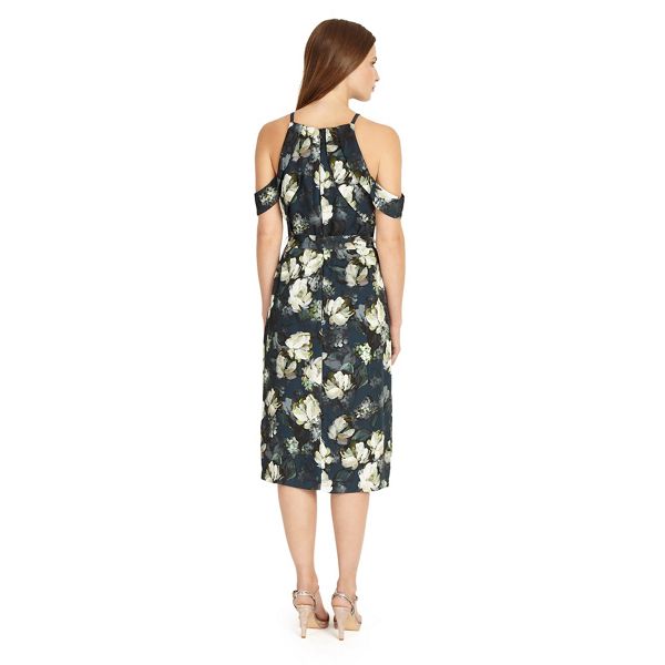 Outstanding Phase Eight Multi-coloured kendra floral dress 54510_204132000