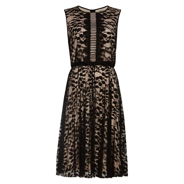 Dresses at phase eight debenhams best sale