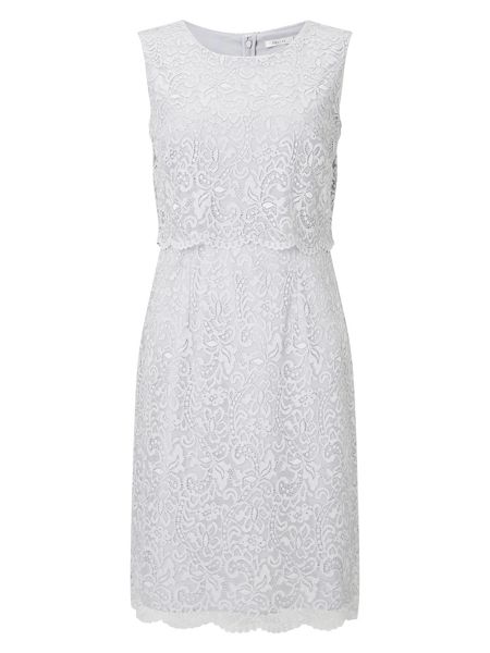 Precis Dresses - Petite lace bodice dress