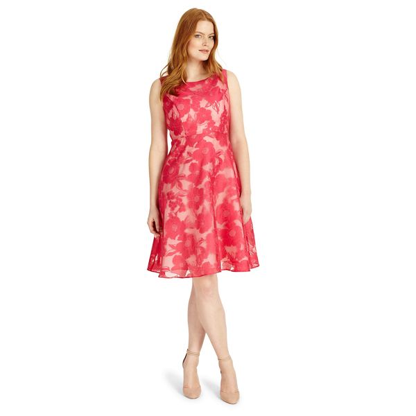 Studio 8 Dresses - Sizes 12-26 hot pink ellen dress