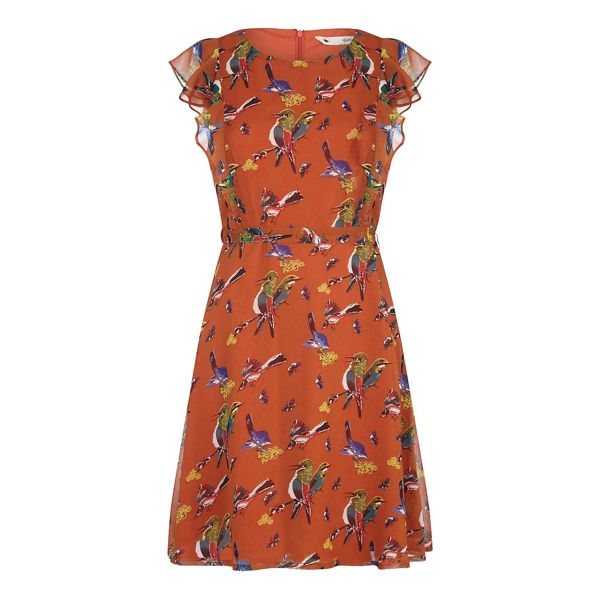 Timeless Yumi Curves Orange bird and butterfly printed dress 62575_YM498PL13